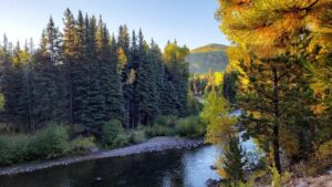 Colorado view of the river with evergreen trees in thebackground